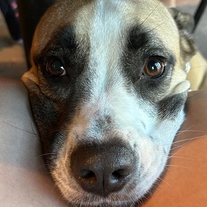 Fundraising Page: Sarah McGlinchey